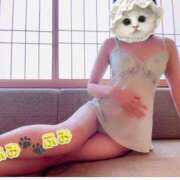 ヒメ日記 2025/03/24 21:33 投稿 ふみ あとりえ(ATELIER)