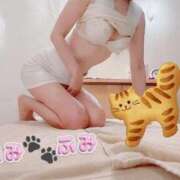 ヒメ日記 2025/04/10 11:27 投稿 ふみ あとりえ(ATELIER)