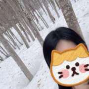 ヒメ日記 2025/04/12 22:50 投稿 ふみ あとりえ(ATELIER)