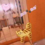 ヒメ日記 2025/04/17 22:37 投稿 ふみ あとりえ(ATELIER)