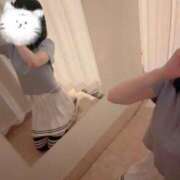 ヒメ日記 2025/04/19 21:57 投稿 ふみ あとりえ(ATELIER)