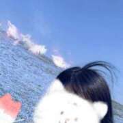 ヒメ日記 2025/04/23 21:37 投稿 ふみ あとりえ(ATELIER)