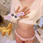 ヒメ日記 2025/05/01 11:48 投稿 ふみ あとりえ(ATELIER)