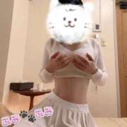 ヒメ日記 2025/05/04 14:34 投稿 ふみ あとりえ(ATELIER)