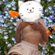 ヒメ日記 2025/05/04 19:56 投稿 ふみ あとりえ(ATELIER)