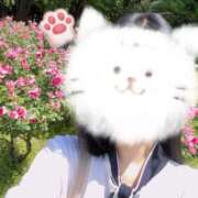 ヒメ日記 2025/05/21 21:45 投稿 ふみ あとりえ(ATELIER)