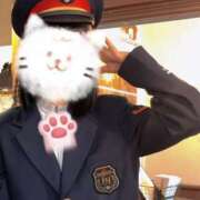 ヒメ日記 2025/06/09 20:41 投稿 ふみ あとりえ(ATELIER)