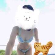 ヒメ日記 2025/06/25 22:30 投稿 ふみ あとりえ(ATELIER)