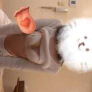 ヒメ日記 2025/06/29 23:11 投稿 ふみ あとりえ(ATELIER)