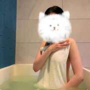 ヒメ日記 2025/07/05 22:19 投稿 ふみ あとりえ(ATELIER)