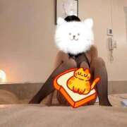 ヒメ日記 2025/07/11 20:06 投稿 ふみ あとりえ(ATELIER)