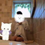 ヒメ日記 2025/07/12 20:48 投稿 ふみ あとりえ(ATELIER)