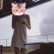 ヒメ日記 2025/07/25 22:34 投稿 ふみ あとりえ(ATELIER)