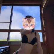 ヒメ日記 2025/07/29 22:15 投稿 ふみ あとりえ(ATELIER)