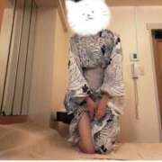 ヒメ日記 2025/08/05 13:38 投稿 ふみ あとりえ(ATELIER)