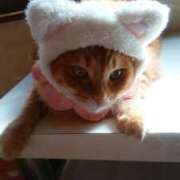 ヒメ日記 2025/01/16 15:42 投稿 篠原 MadameRest(マダムレスト)