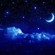 ヒメ日記 2025/01/17 01:58 投稿 篠原 MadameRest(マダムレスト)