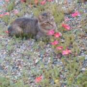 ヒメ日記 2025/01/20 16:07 投稿 篠原 MadameRest(マダムレスト)