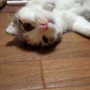 ヒメ日記 2025/01/25 15:16 投稿 篠原 MadameRest(マダムレスト)