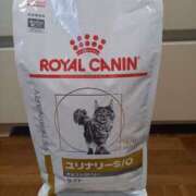 ヒメ日記 2025/01/30 16:14 投稿 篠原 MadameRest(マダムレスト)