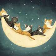 ヒメ日記 2025/02/01 01:48 投稿 篠原 MadameRest(マダムレスト)