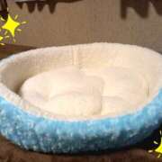 ヒメ日記 2025/02/06 15:46 投稿 篠原 MadameRest(マダムレスト)