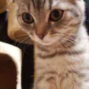 ヒメ日記 2025/02/07 15:38 投稿 篠原 MadameRest(マダムレスト)