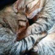 ヒメ日記 2025/02/17 16:03 投稿 篠原 MadameRest(マダムレスト)