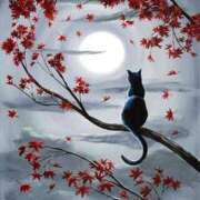 ヒメ日記 2025/02/21 01:28 投稿 篠原 MadameRest(マダムレスト)