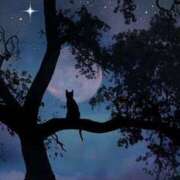 ヒメ日記 2025/02/22 01:57 投稿 篠原 MadameRest(マダムレスト)