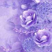 ヒメ日記 2025/02/24 12:28 投稿 篠原 MadameRest(マダムレスト)