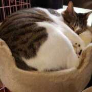 ヒメ日記 2025/02/25 15:48 投稿 篠原 MadameRest(マダムレスト)