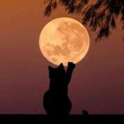 ヒメ日記 2025/03/01 02:15 投稿 篠原 MadameRest(マダムレスト)