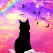 ヒメ日記 2025/03/07 15:48 投稿 篠原 MadameRest(マダムレスト)