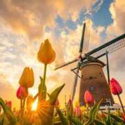 ヒメ日記 2025/03/11 16:06 投稿 篠原 MadameRest(マダムレスト)