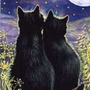 ヒメ日記 2025/03/12 02:36 投稿 篠原 MadameRest(マダムレスト)