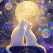 ヒメ日記 2025/03/15 15:55 投稿 篠原 MadameRest(マダムレスト)