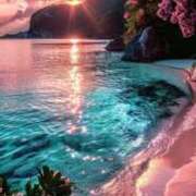 ヒメ日記 2025/03/22 15:52 投稿 篠原 MadameRest(マダムレスト)