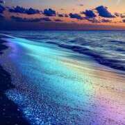 ヒメ日記 2025/03/28 18:44 投稿 篠原 MadameRest(マダムレスト)