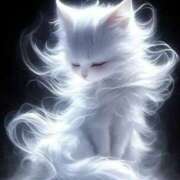 ヒメ日記 2025/03/31 01:03 投稿 篠原 MadameRest(マダムレスト)