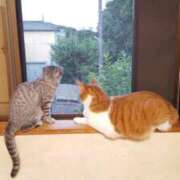 ヒメ日記 2025/04/01 17:26 投稿 篠原 MadameRest(マダムレスト)