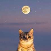 ヒメ日記 2025/04/03 16:59 投稿 篠原 MadameRest(マダムレスト)