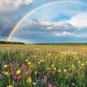 ヒメ日記 2025/04/05 15:49 投稿 篠原 MadameRest(マダムレスト)