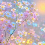 ヒメ日記 2025/04/08 16:12 投稿 篠原 MadameRest(マダムレスト)