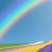 ヒメ日記 2025/04/12 13:19 投稿 篠原 MadameRest(マダムレスト)