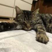 ヒメ日記 2025/04/14 15:35 投稿 篠原 MadameRest(マダムレスト)