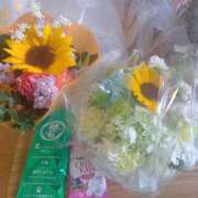 ヒメ日記 2025/04/17 11:02 投稿 篠原 MadameRest(マダムレスト)