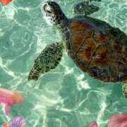 ヒメ日記 2025/04/18 16:25 投稿 篠原 MadameRest(マダムレスト)