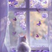 ヒメ日記 2025/04/24 16:22 投稿 篠原 MadameRest(マダムレスト)