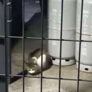 ヒメ日記 2025/04/25 01:29 投稿 篠原 MadameRest(マダムレスト)